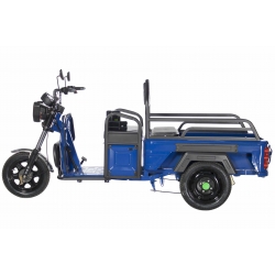 Грузовой электротрицикл Trike Cargo