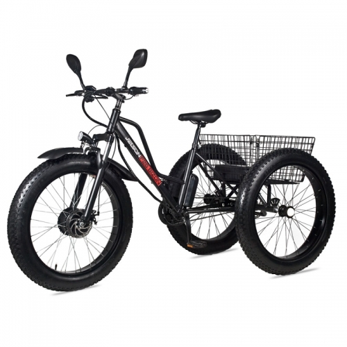 Электровелосипед Трицикл Jetson F26 BIZON (48V12Ah)