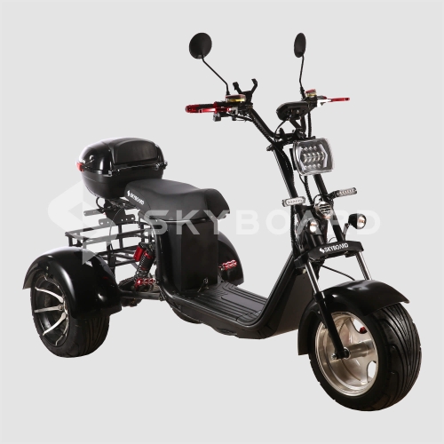 Электроскутер CityCoco SkyBoard Trike BR60-3000 PRO FAST
